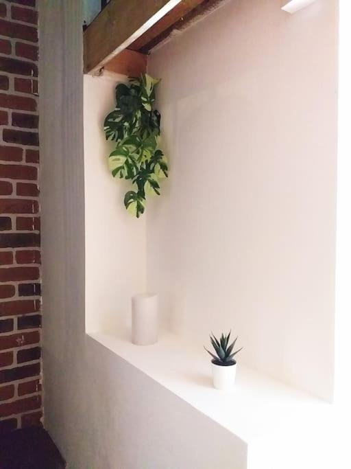 Le Paisible - Gare - Duplex - Garage Prive - Netflix Apartment Grenoble Luaran gambar